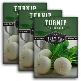 Survival Garden Seeds - Turnip Snowball Seed for Planting - 3 Packs with Instructions to Plant and Grow Root Vegetables and Greens in Your Home Vegetable Garden - Non-GMO Heirloom Variety - Seed Vault