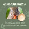Planet Pantry Disposable Palm Leaf Rabbit Bowls - Bunny Chew
