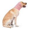 DDFS Dog Ear Protection Hat Snood - Noise Cancelling Dog