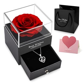 Preserved Flower Rose with I Love You Necklace in 100 Languages Mothers Day Gift for Mom - Eternal Rose Flower Gifts for Girlfriend Wife Mom on Valentine's Day Anniversary Mother's Day Birthday Christmas