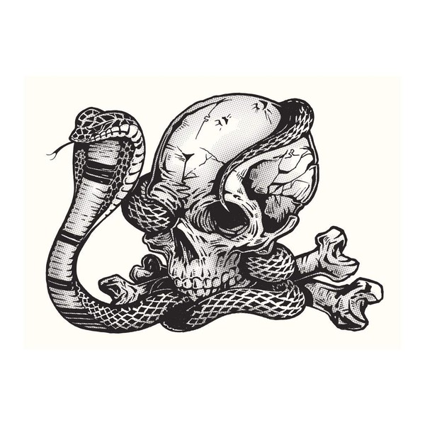 Laminated Human Skull Cobra Snake Pen Ink Tattoo Style Etching