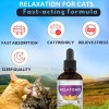 Does not apply Cat Melatonin, Melatonin for Cats, Cat Sedative
