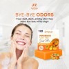Natrulo Persimmon Soap Bar for Body Odor Control – Purifying