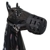 Basket Grazing Muzzle Breathable Equestrian Equipment