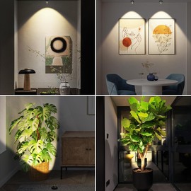 Rechargeable Wireless Battery Spotlight Indoor for Plant Trees at Home Remote Control with 3 Colors Lighitng Mini Dimmable Uplight Led Accent Wall Spot for Pictue Painting Light with Timer-off