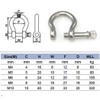 Pack-of-10 M6 D Bow Ring Shackle Locks 304 Stainless Steel