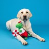 Fringe Studio Plush Dog Toy, to The REX-CUE!, Pet Shop