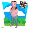 Wild Faces - Pig from Deluxebase. Safe foam animal masks