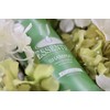 Chihtsai | Shampoo Natural Essential Té Verde: cuero cabelludo sensible,