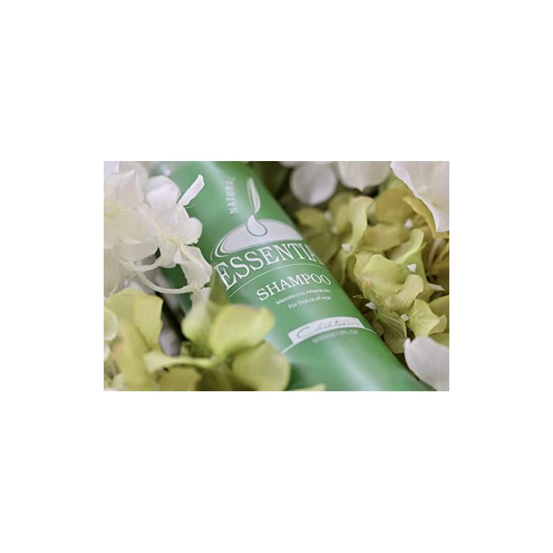 Chihtsai | Shampoo Natural Essential Té Verde: cuero cabelludo sensible,