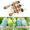 Parakeet Beak Stone Parrots Trimming Chew Toys Set Bird Nuts