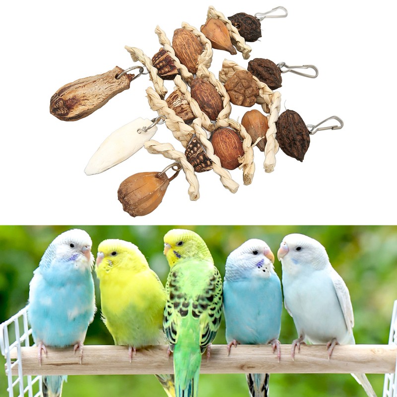 Parakeet Beak Stone Parrots Trimming Chew Toys Set Bird Nuts