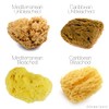 Intimatecare Esponjas Mar Mediterráneo Embalaje Plástico Absoluta Marrón Natural Pulgadas