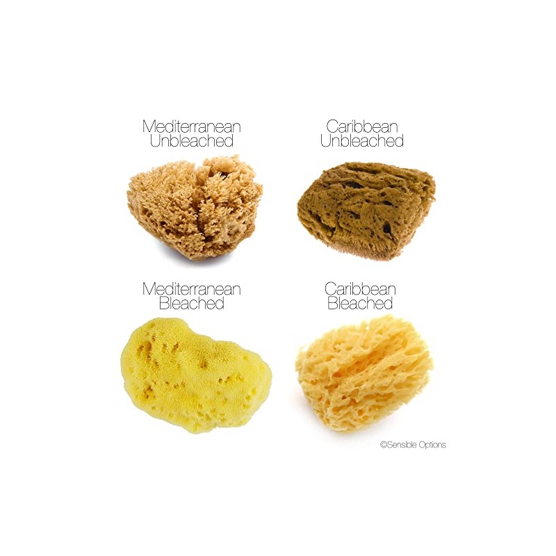 Intimatecare Esponjas Mar Mediterráneo Embalaje Plástico Absoluta Marrón Natural Pulgadas