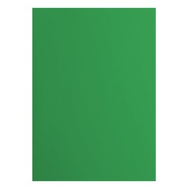 Florence Cardstock Smooth - Coloured Card Making Supplies A4 - Green - 10 Sheets - Coloured Paper for Scrapbooking, Card Making, Die Cutting and Paper Crafts - 216 GSM - Holly