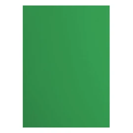 Florence Cardstock Smooth - Coloured Card Making Supplies A4 - Green - 10 Sheets - Coloured Paper for Scrapbooking, Card Making, Die Cutting and Paper Crafts - 216 GSM - Holly