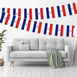 UD_G128 8.2 X 5.5 Inch Paraguayan Bunting Banner Flag Printed 150D Polyester for School Festival Events Full String 33 Feet