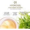 Parches De Hidrogel Para Ojos Petitfee Gold, 60 Unidades (30