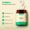 Enzimas Digestivas Con Papaya C/ 120 Caps | Vitalbotanics Sabor