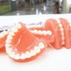 KESYOO 10Pcs Keychain Funny False Tooth Design Adorable Hanging Ornament