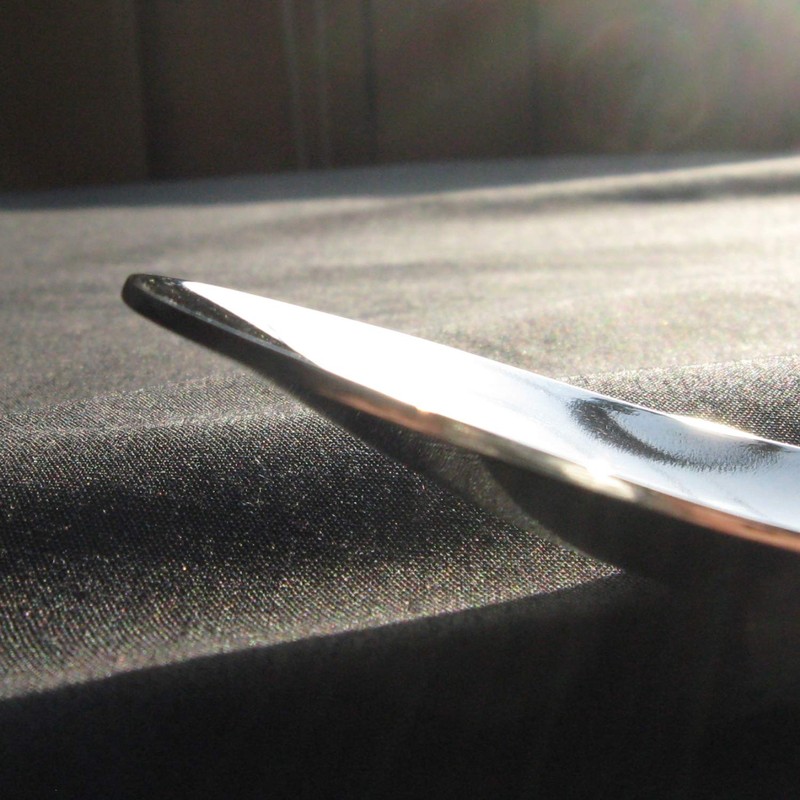 Nagao Tsubamesanjo Smooth Mouthfeel Curry Spoon 18cm Stainless Steel Made