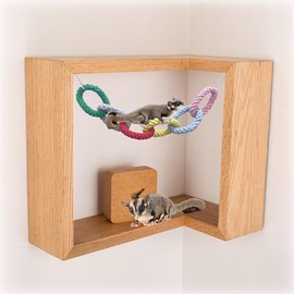 Azúcar planeador - Juguetes de escalada colgantes de seis anillos, juguetes de oscilación de deslizador de azúcar, accesorios de jaula de cuerda de escalada para deslizador de azúcar, hurón, hámster,