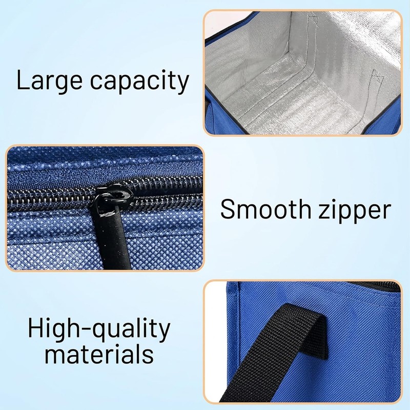 2 Pcs Small Cooler Bag, Small Cool Bags, Cooler Bag