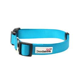 Doodlebone Dog Collar, Aqua, 6-11