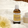 Apricot kernel oil 50ml / 살구씨 오일 50ml