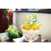 Kishima Eklia Deodorizing Artificial Green 5 L Size KH-61184 Size: