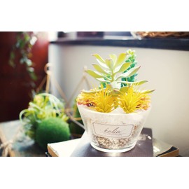 Kishima Eklia Deodorizing Artificial Green 5 L Size KH-61184 Size: Approx. W 5.3 x D 5.3 x H 5.9 inches (135 x 135 x 150 cm)