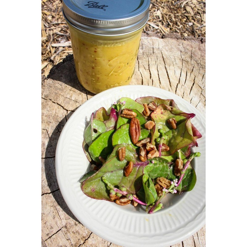 TomorrowSeeds Red Stem Malabar Spinach Seeds | Basella Alba Rubra