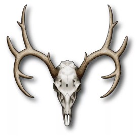 Decals by Haley Deer Skull Decal Vinyl Sticker for Car Truck Laptop Window Outdoor Hunter Gift - 12"x12"