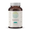 HerbEra Bayberry 60/120 Capsules, 500 mg, Organic (Myrica Cerifera) -