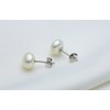 Rakumi Sterling Silver AAAA 6mm White Freshwater Pearl Studs Earrings