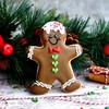 Gingerbread Man Cookie Cutter- Stainless Steel