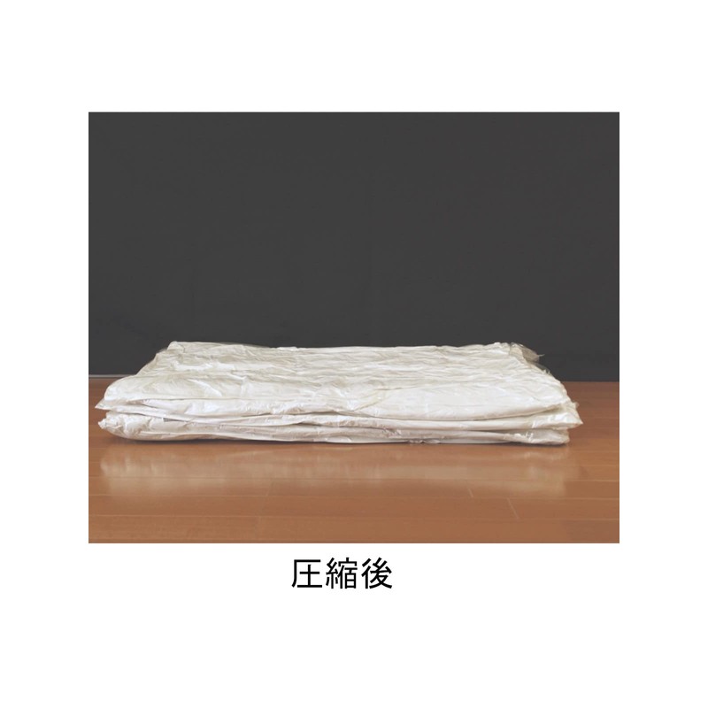 Orient Valve Type Futon Compression Bag, Set of 2, 47.2