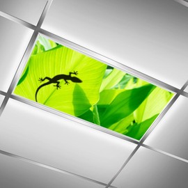 QOROL 2 Magnetic Fluorescent Light Covers for Classroom, School Lights - Decor Filters for Drop Ceiling Lights（Gecko）