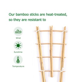 Cambaverd Trellis for Climbing Plants Indoor Outdoor, Natural Bamboo Trellis 24 Inch, 3 Pack Garden Trellis for Potted Plants, Ivy, Monstera, Houseplants