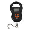 BESPORTBLE Portable Digital Luggage Scale with Hook for Travel and