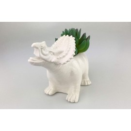 VanEnjoy Cute Cartoon Dinosaur Ceramic Succulent Planter, Water Culture Hydroponics Bonsai Cactus Flower Pot,Air Plant Vase Holder Desktop Decorative Organizer (Triceratops with Hole, White)