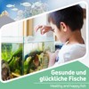 sanafish Aquarium Water Test Base - pH, GH, KH. 100