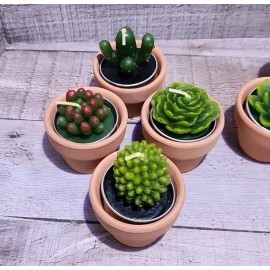 Handmade 12 Pcs Succulent Cactus Tealight Candles Baby Shower Plant Candles Bridal Shower