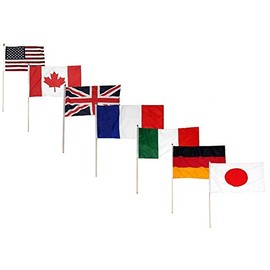 AES Set of 7 Country USA Canada UK France Italy Germany Plain Japan 12"x18" Stick Flags