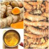 Roots Organic Turmeric Roots 8oz, Certified USDA, Fresh, Boost your