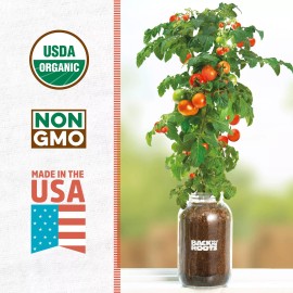 Back to the Roots Self-Watering Tomato Planter Organic Cherry Tomatoes Indoor Garden Kit