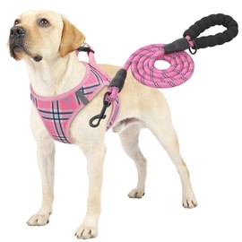 MoNiBloom No Pull Dog Harness w/Leash Set, Reflective Soft Puppy Padded Vest for Walking, Training, Easy to Put on Medium Large Dogs - Pink, XL
