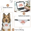 URROMA 4 Pack White Triangle Dog Bandana Collar with Adjustable