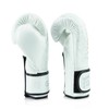 Fairtex Glory Kickboxing Gloves - Limited Edition (White/Gold - BGVG3,