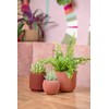 Capi Europe - Bowl Ball Groove Colours - 12x10 -